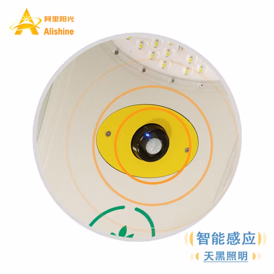 Lampione stradale solare a LED per esterni impermeabile IP66 da giardino con certificato CE ad alta potenza